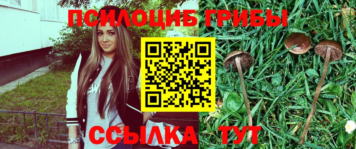 Галлюциногенные грибы GOLDEN TEACHER  Вход с VPN  Пыть-Ях 